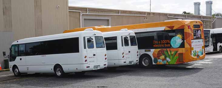 Ventura Fuso Rosa 1606, 1608 & BYD D9RA Optimus 1574